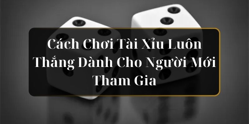 Cách Chơi Tài Xỉu Luôn Thắng Dành Cho Người Mới Tham Gia