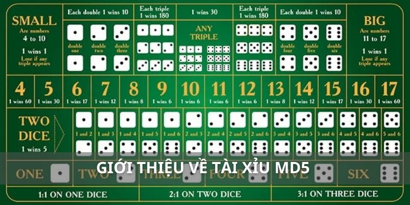 Giới thiệu về tài xỉu MD5 