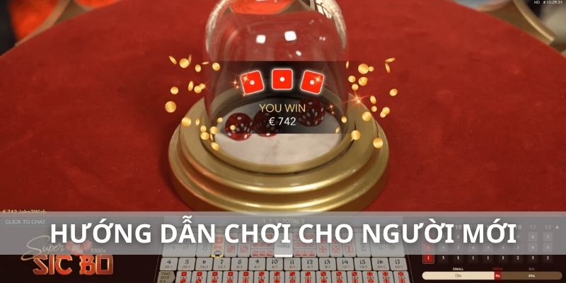 Hướng dẫn chơi tài xỉu cho người mới