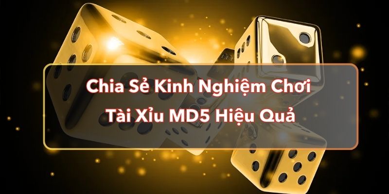 Chia Sẻ Kinh Nghiệm Chơi Tài Xỉu MD5 Hiệu Quả Cho Newbie